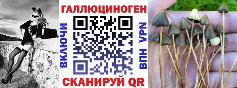 где купить   MEGA ONION  Галлюциногенные грибы прущие грибы  Берёзовка 